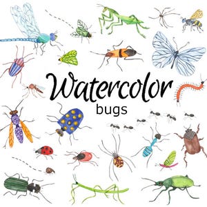 WATERCOLOR CLIPART summer bugs insects nature scrapbooking clip art grasshopper png watercolour illustration dragonfly butterfly beetle