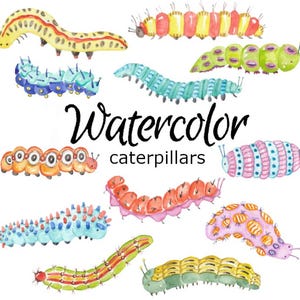 WATERCOLOR CLIPART retro bugs insects nature scrapbooking clip art grasshopper png watercolour illustration dragonfly butterfly beetle