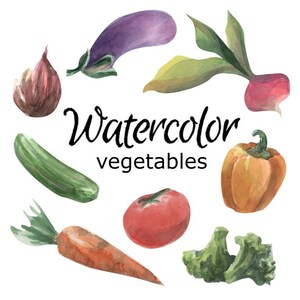 WATERCOLOR CLIPART, vegetables scrapbooking kitchen png, graphics, watercolour, illustration sketch painting clip art food eggplanttomatoe