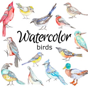 Puede incluir: Pintura de acuarela de 12 pájaros diferentes en varios colores y poses. Los pájaros están pintados en un estilo realista y están dispuestos en un círculo alrededor de las palabras "Watercolor birds".