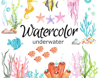 WATERCOLOR CLIPART, underwater clip art travel scrapbooking ocean png, graphics, watercolour, illustration sketch painting vacation coral