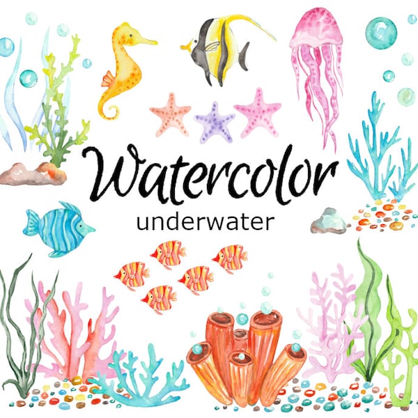 AQUAREL CLIPART, onderwater clip art reizen scrapbooking oceaan png, afbeeldingen, aquarel, illustratie schets schilderij vakantie koraal