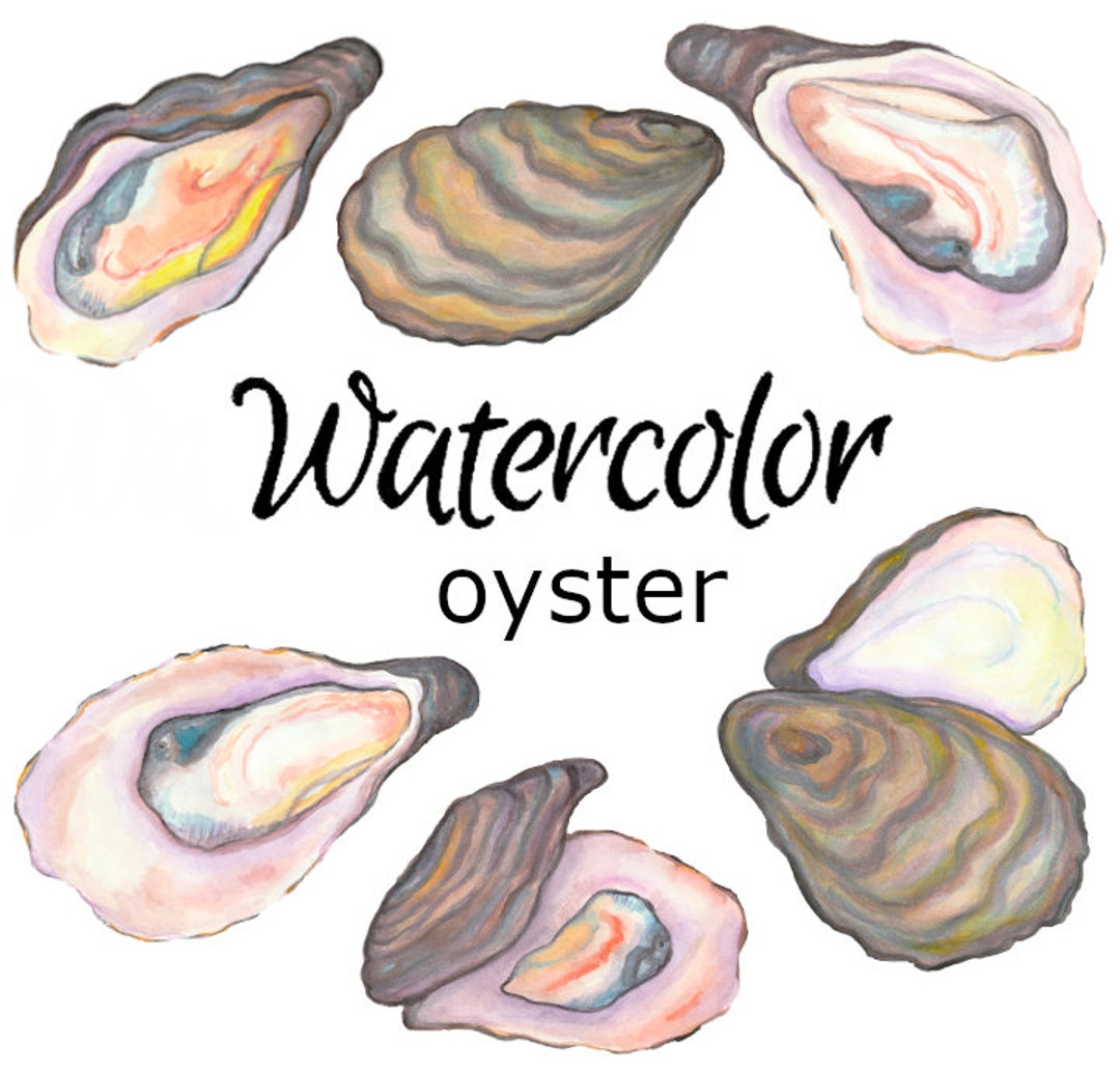 WATERCOLOR CLIPART, Oyster Clip Art Nature Scrapbooking Ocean Animals ...