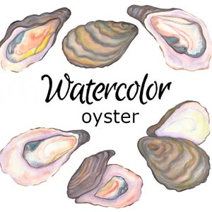 WATERCOLOR CLIPART, oyster clip art nature scrapbooking ocean animals png, graphics, watercolour, illustration sketch painting cottage pearl