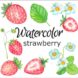 AQUAREL CLIPART, aardbei scrapbooking keuken png, graphics, aquarel, illustratie schets fruitbes schilderij clip art voedsel fruit