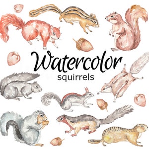 May include: Watercolor illustration of ten squirrels in various poses. The squirrels are painted in shades of brown, gray, and white. The illustration includes the text "Watercolor squirrels".