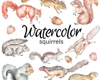 AQUARELL CLIPART Eichhörnchen Clip Art Natur scrapbooking Tiere png, Grafik, Aquarell, Illustration Skizze Malerei