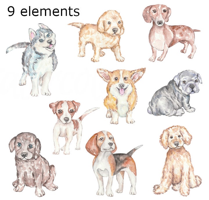 Watercolor Puppy Clipart: Dog Breeds Illustration (PNG) - Etsy