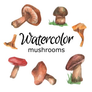 Pode incluir: Ilustração em aquarela de vários cogumelos em tons de castanho, vermelho e laranja. A imagem inclui o texto "Watercolor mushrooms" em escrita preta. Os cogumelos são retratados com sombreamento e textura detalhados, sobre um fundo branco.