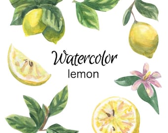 Lemon Watercolor Clipart Set: Fruit Illustration Graphics (PNG)