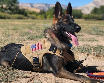 k9 harness tactical