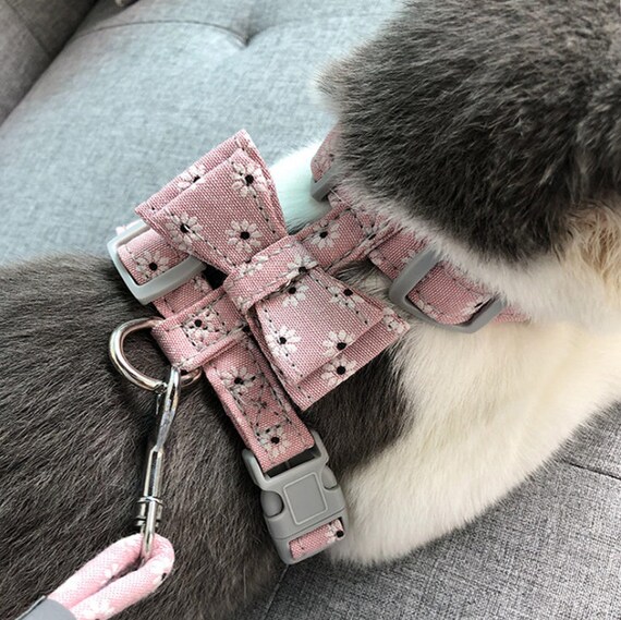 cute cat harness