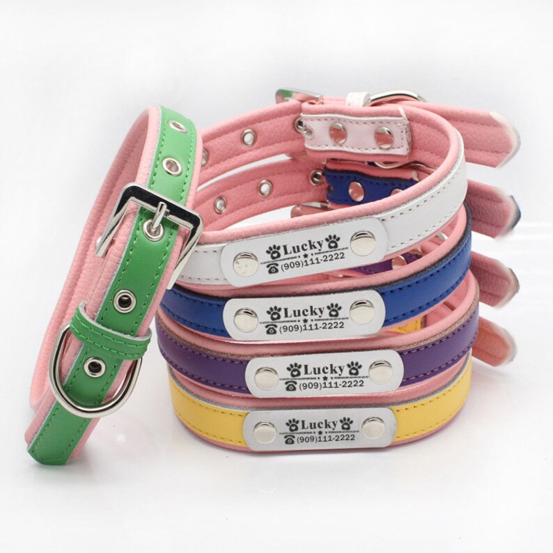 Dog Collar Personalized Dog Collar Dog Name Tag Pet Collar Etsy