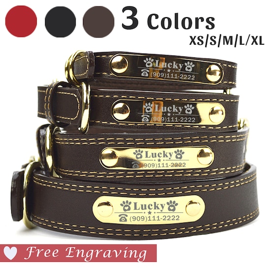 dog collar name plate