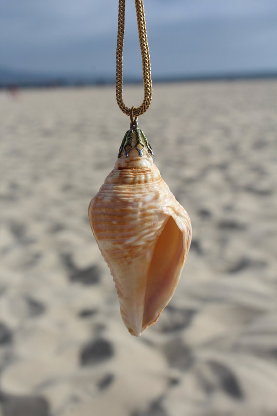 Glorious shell pendant necklace