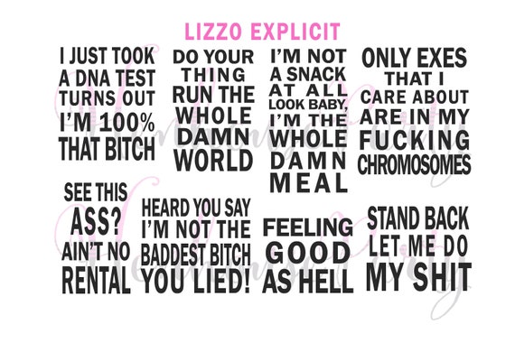 Lizzo Lyrics Set Vinyl Stickers Decals Lizzo Crafts Etsy