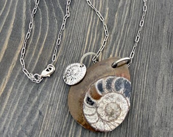 Ammonite Fossil Statement Pendant Necklace