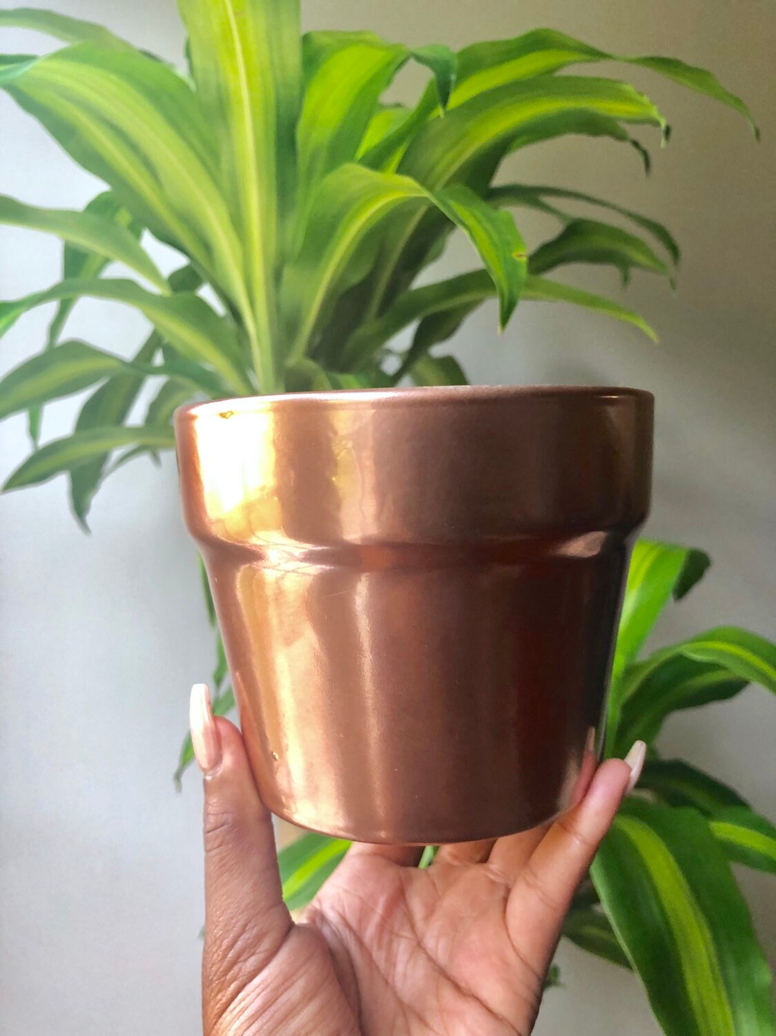 Rose Gold Planter Etsy