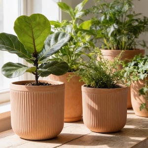Fiberglass Planter Finishing In Terracotta Color, Weather Resistant Indoor Outdoor Planter (12 Inches)