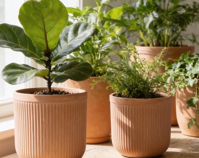 Fiberglass Planter Finishing In Terracotta Color, Weather Resistant Indoor Outdoor Planter (12 Inches)