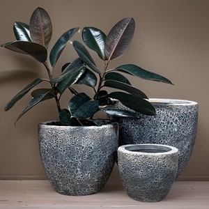 10-18 Inches diameter - Fiberglass handmade planter, beautiful finishing offer in multiple sizes.