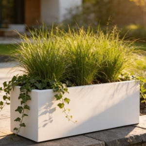 May include: A rectangular white planter box filled with tall green ornamental grass and trailing ivy vines. The container has a smooth, solid finish and sits on a stone surface, displaying a clean, geometric shape with vibrant green foliage.