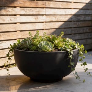 May include: A large, matte black, bowl-shaped planter filled with a variety of green succulents and trailing ivy. The arrangement features several rosette-shaped succulents nestled among smaller, upright plants and long, thin vines of ivy.