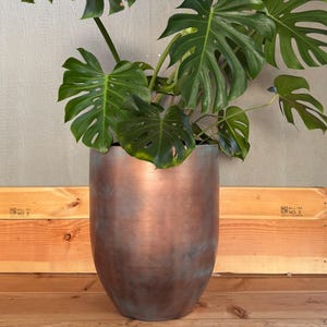 May include: A large, green Monstera plant with split leaves is potted in a tall, copper-colored planter. The planter has a rounded shape and a weathered finish. The plant is positioned in front of a wooden wall.
