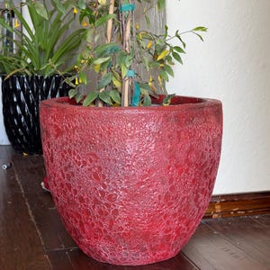 May include: A red ceramic planter with a textured surface. The planter is filled with a green plant with yellow flowers.