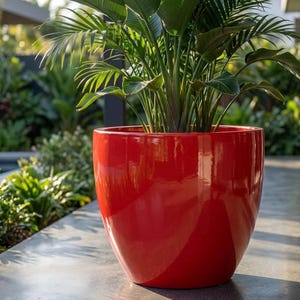May include: A vibrant red, glossy ceramic planter filled with lush green plants. The planter has a rounded, modern shape and sits on a concrete surface. The plant features large, broad leaves and smaller, feathery fronds.