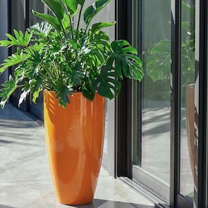 May include: A tall, glossy orange planter filled with lush green plants. The planter has a sleek, cylindrical shape and is positioned outdoors near a glass sliding door. The plants include large, vibrant green leaves, creating a striking contrast with the orange planter.