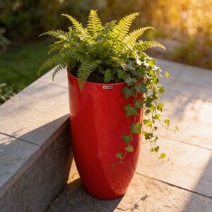 May include: A tall, cylindrical, glossy red planter containing a lush green fern and trailing ivy. The planter features a small, rectangular silver-toned brand label near the top rim, showcasing a vibrant contrast between the red finish and foliage.