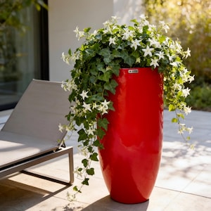 May include: A tall, cylindrical, glossy red planter containing a lush green ivy plant with small, star-shaped white flowers. The plant cascades over the sides of the smooth, vibrant red container, which features a small rectangular metal brand tag.