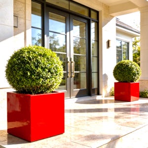 May include: Two vibrant red square planters, each containing a perfectly spherical green boxwood shrub, are positioned on a light-colored stone porch in front of a set of dark-framed glass double doors with long vertical metal handles.