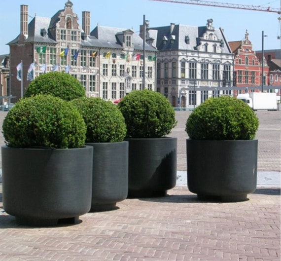 Extra Large Planters & Large Planter Pots - For Commercial & Residential  Spaces