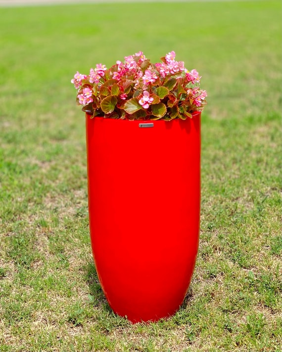 pepper plant pots Pot-a-Peno Pepper Seeds
