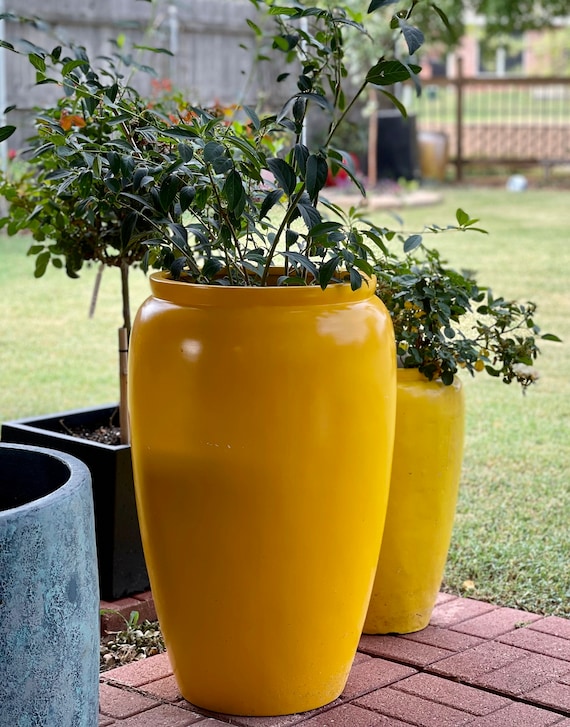 20-27 Inches Tall Fiberglass Planter in Glossy Yellow, Beautiful