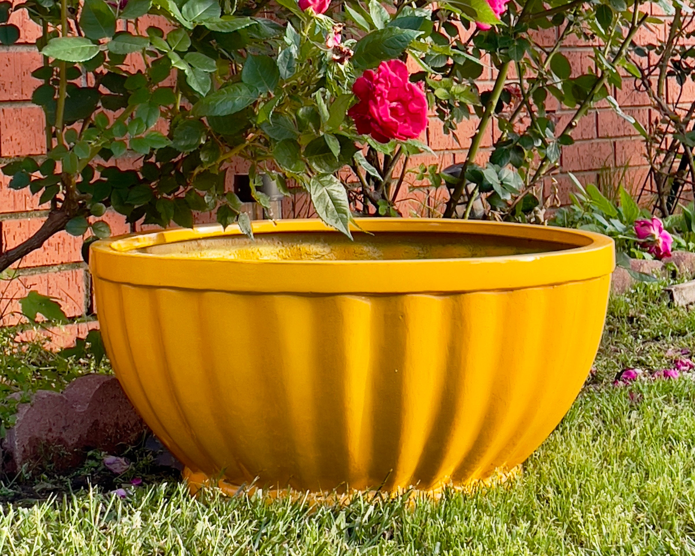 Glossy Yellow Fiberglass Planter: Modern Round Bowl, 22-28 Inches - Etsy  Israel