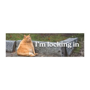 May include: A ginger cat sits on a concrete ledge with the text "I'm locking in" in white. The cat is looking up and to the right. The background includes grass and a concrete barrier.