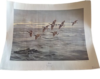 Norman Kelly "Brant" Coastal Limited Signed Lithograph Ducks Unlimited