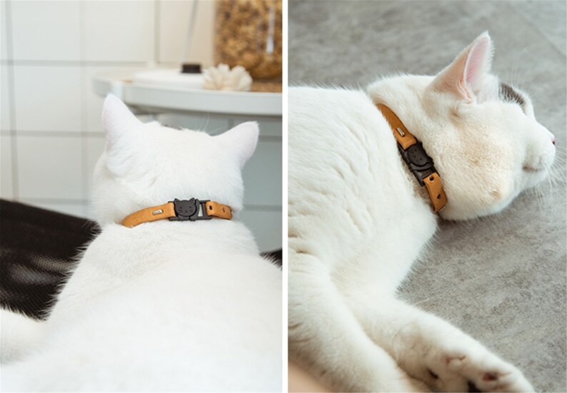 Personalized Leather Cat Collarbreakaway Cat Collarbreakaway Etsy