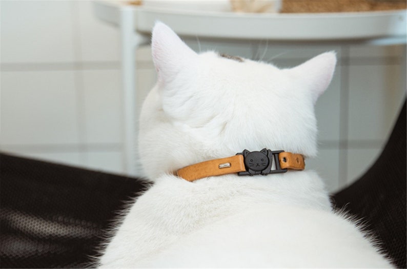 Personalized Leather Cat Collarbreakaway Cat Collarbreakaway Etsy