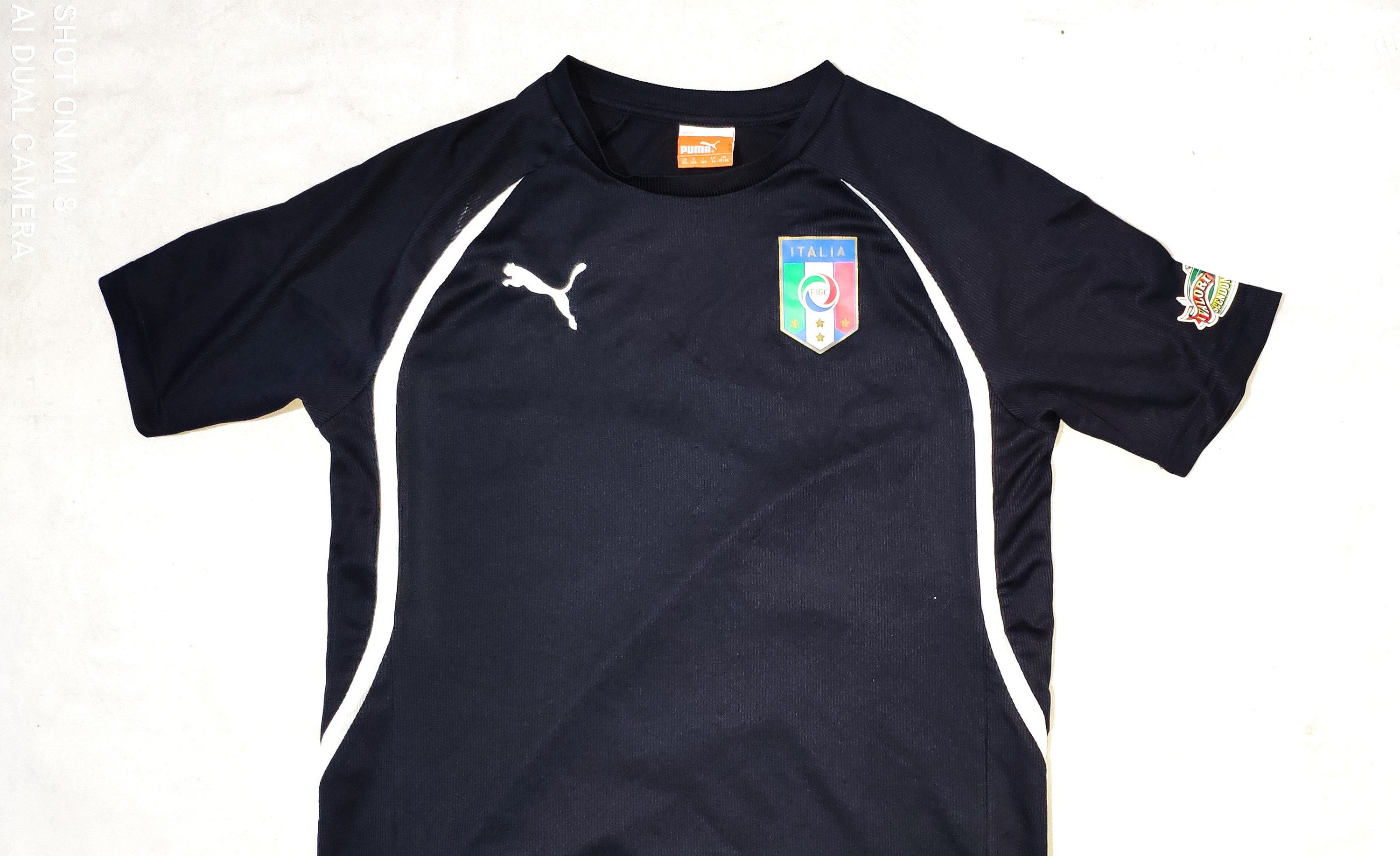 Italy National Team Official Football Soccer Training Jersey by Puma