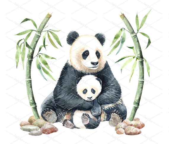 Panda mom and best sale baby
