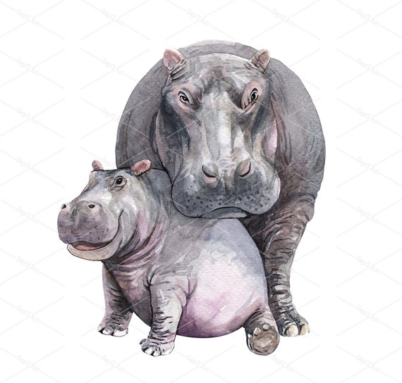 Watercolor Mom And Baby Hippo Illustration Hippopotamus Etsy Watercolor Mom And Baby Hippo Illustration Hippopotamus Etsy