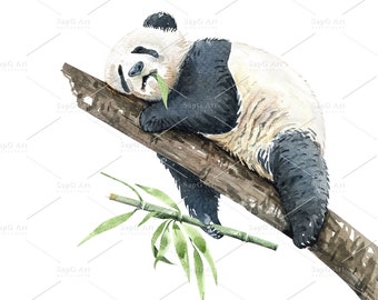 Panda Drawing Etsy Panda Drawing Etsy