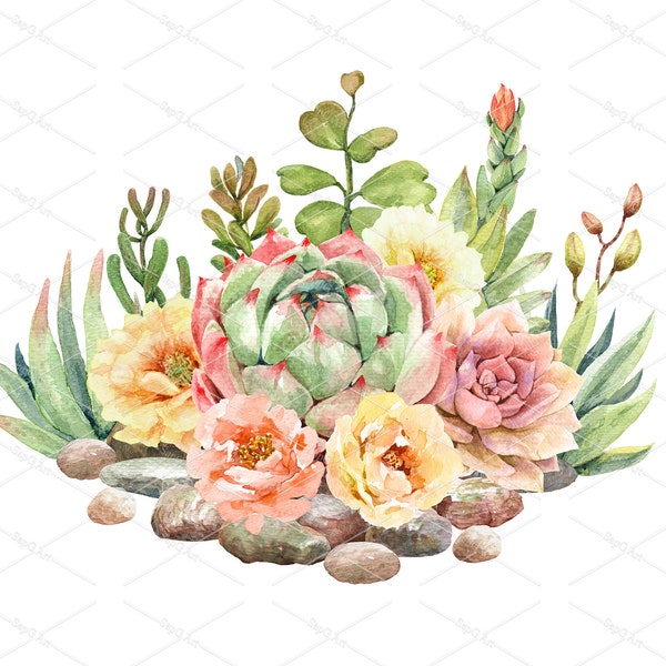 Colección de acuarela cactus cactus y suculentas en piedras. Cactus, Cactus, Archivo digital de flores, KDP, PNG, JPG, Clip art.