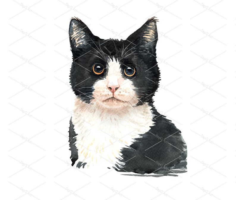 Cat Lover Watercolor Animals Watercolor Kitty Clipart Black | Etsy
