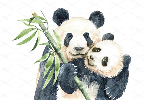 Aquarelle Maman Et Bebe Panda Avec De La Peinture En Bambou Etsy Canada