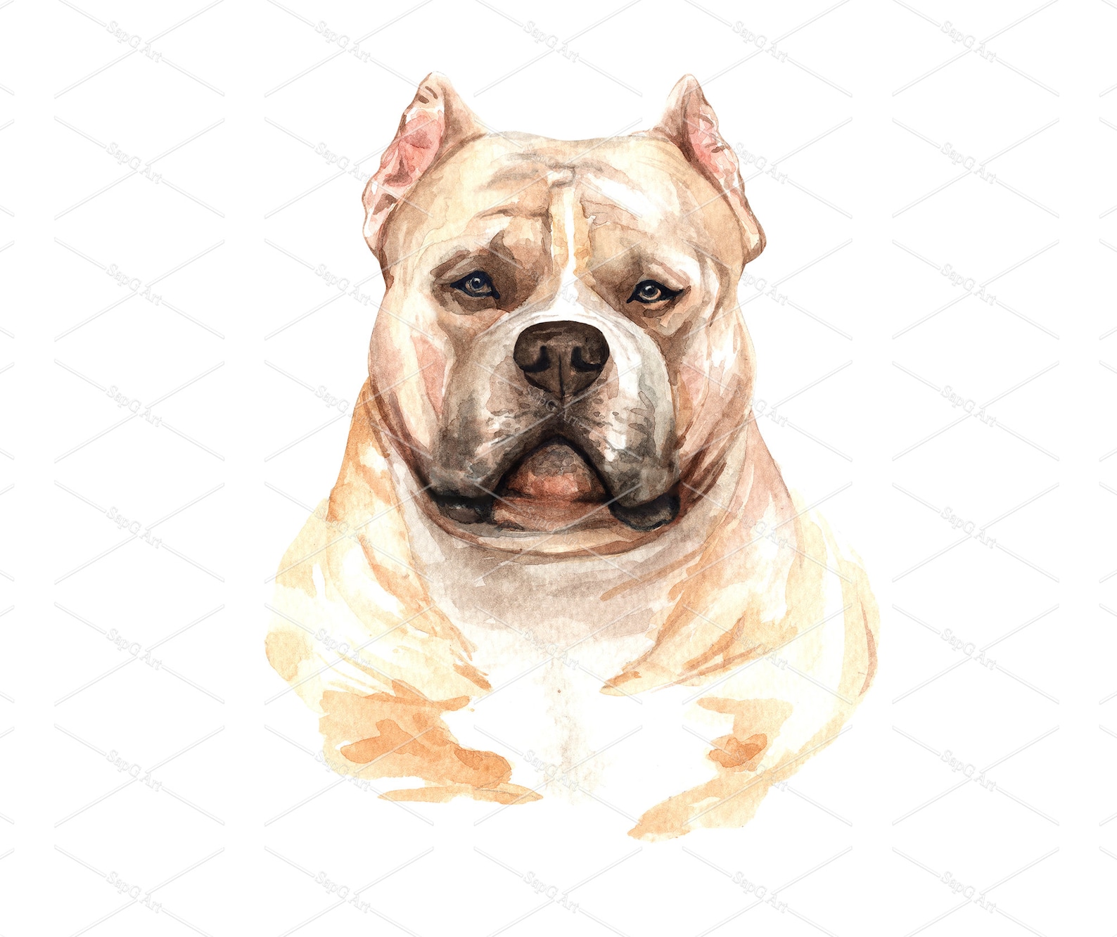 Watercolor American Bully of a Dog Drawing. American Bully Etsy